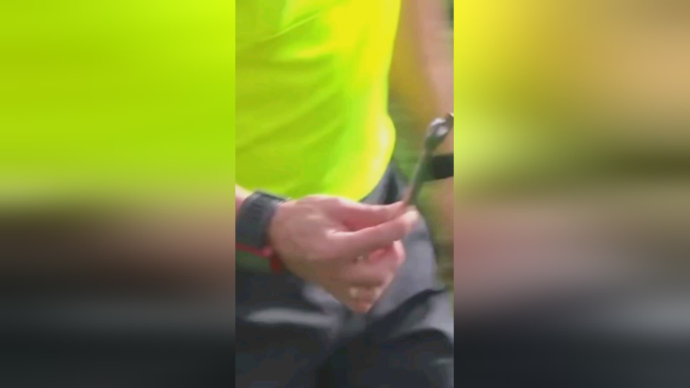 身体